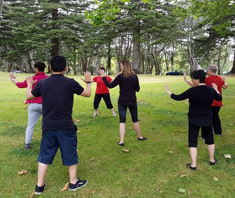 Free summer tai chi in Cornwall Park, 2017 – 2018