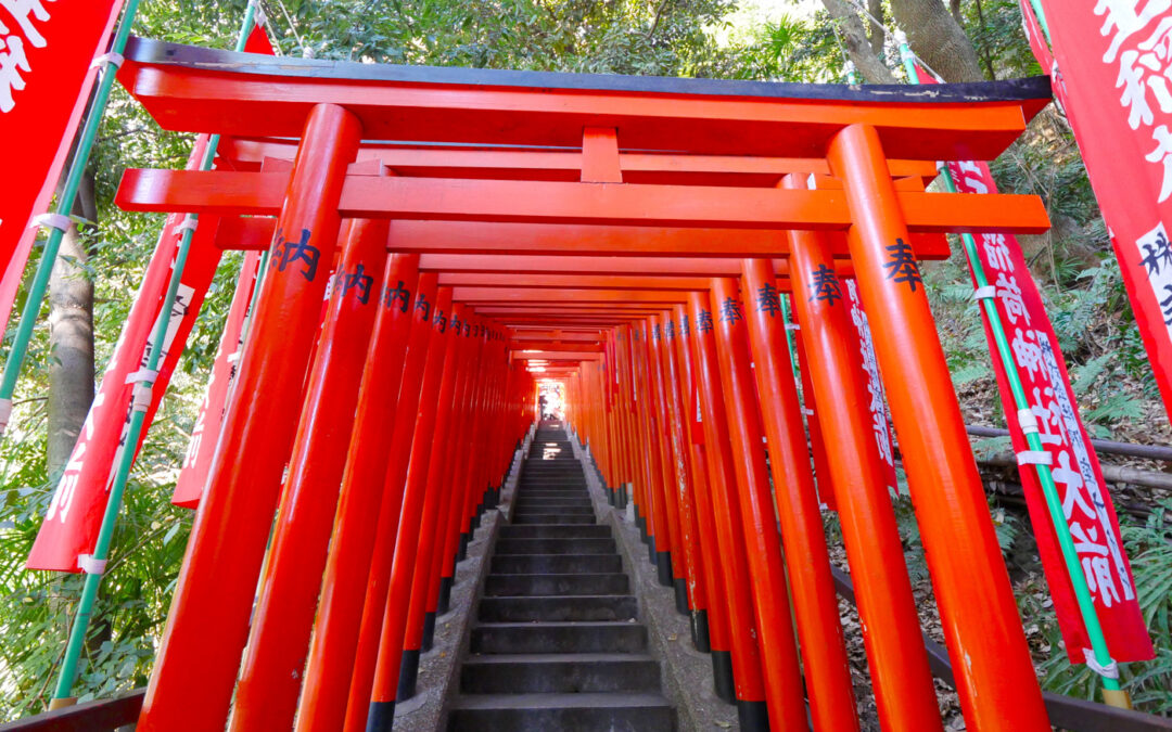 Tai chi in Tokyo: A feast for body and soul, November 2025